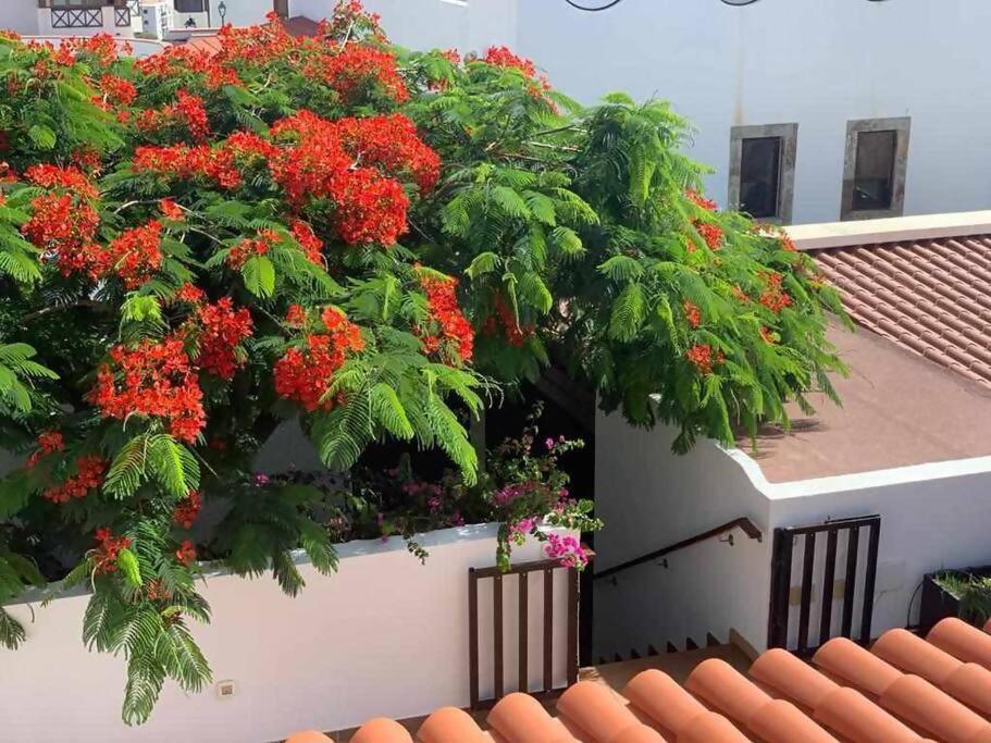 Villa Garoe Puerto de las Nieves Εξωτερικό φωτογραφία